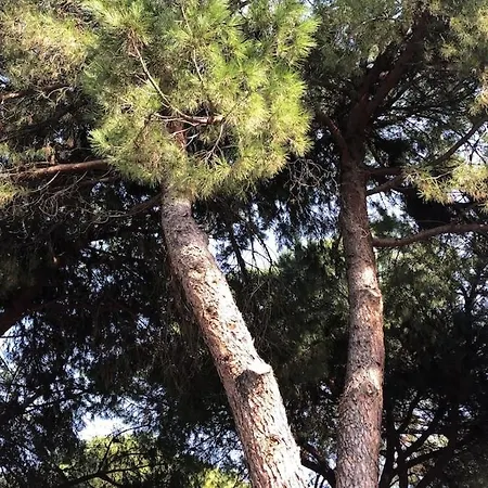 Marco's House Elegant And Reserved By The Sea *