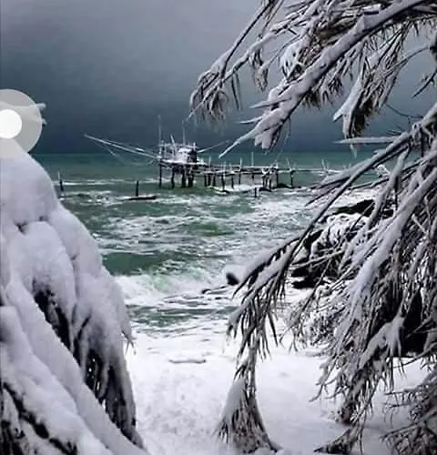 Marco's House Elegant And Reserved By The Sea Pescara