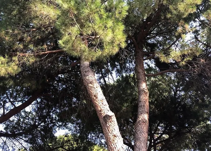 Marco's House Elegant And Reserved By The Sea *