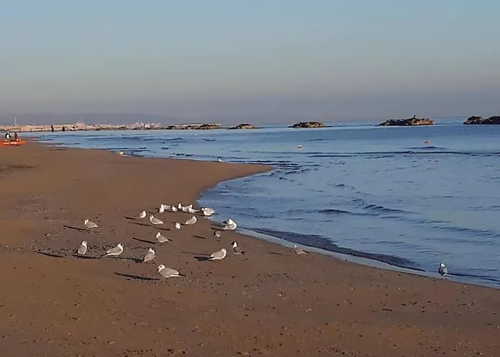 Daire Marco's House Elegant And Reserved By The Sea